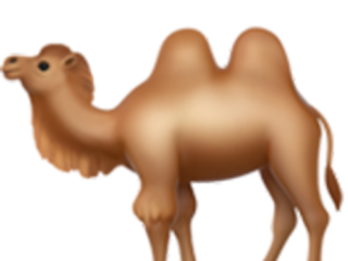 Что означает эмодзи верблюд?